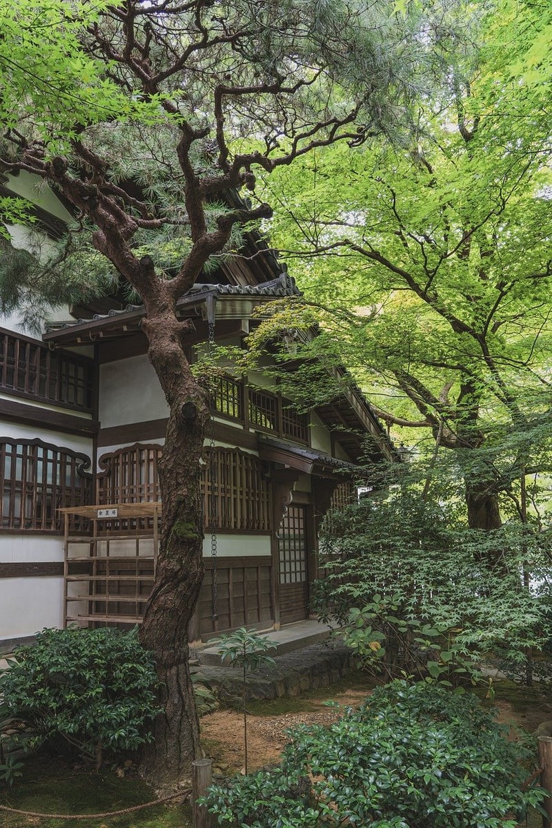 Zen garden